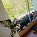 Baja Apartman *