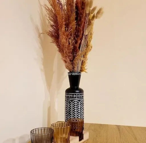 Baja Διαμέρισμα