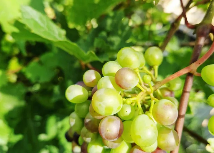 Διαμέρισμα Baja Karpacz